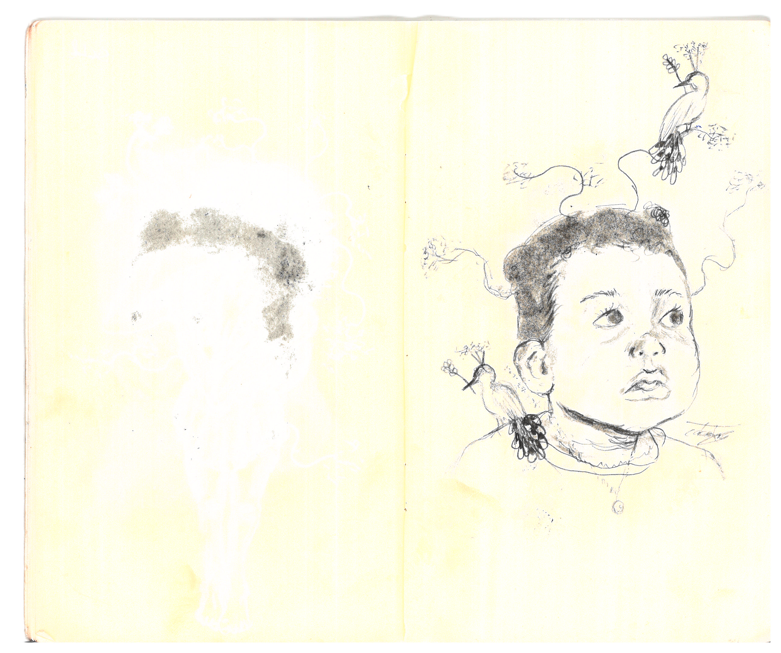 sketchbook 1.png