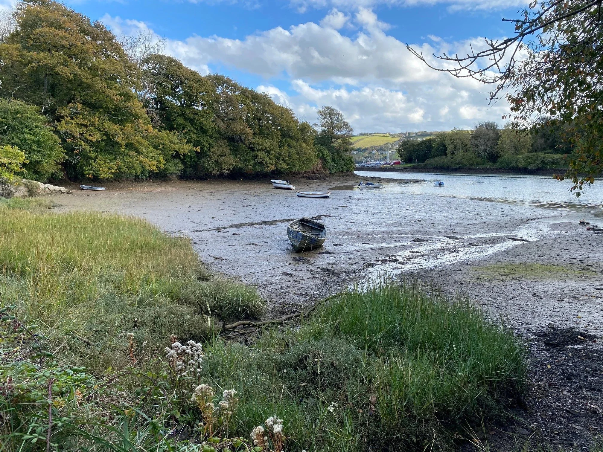 South Hams District Council and West Devon Borough Council