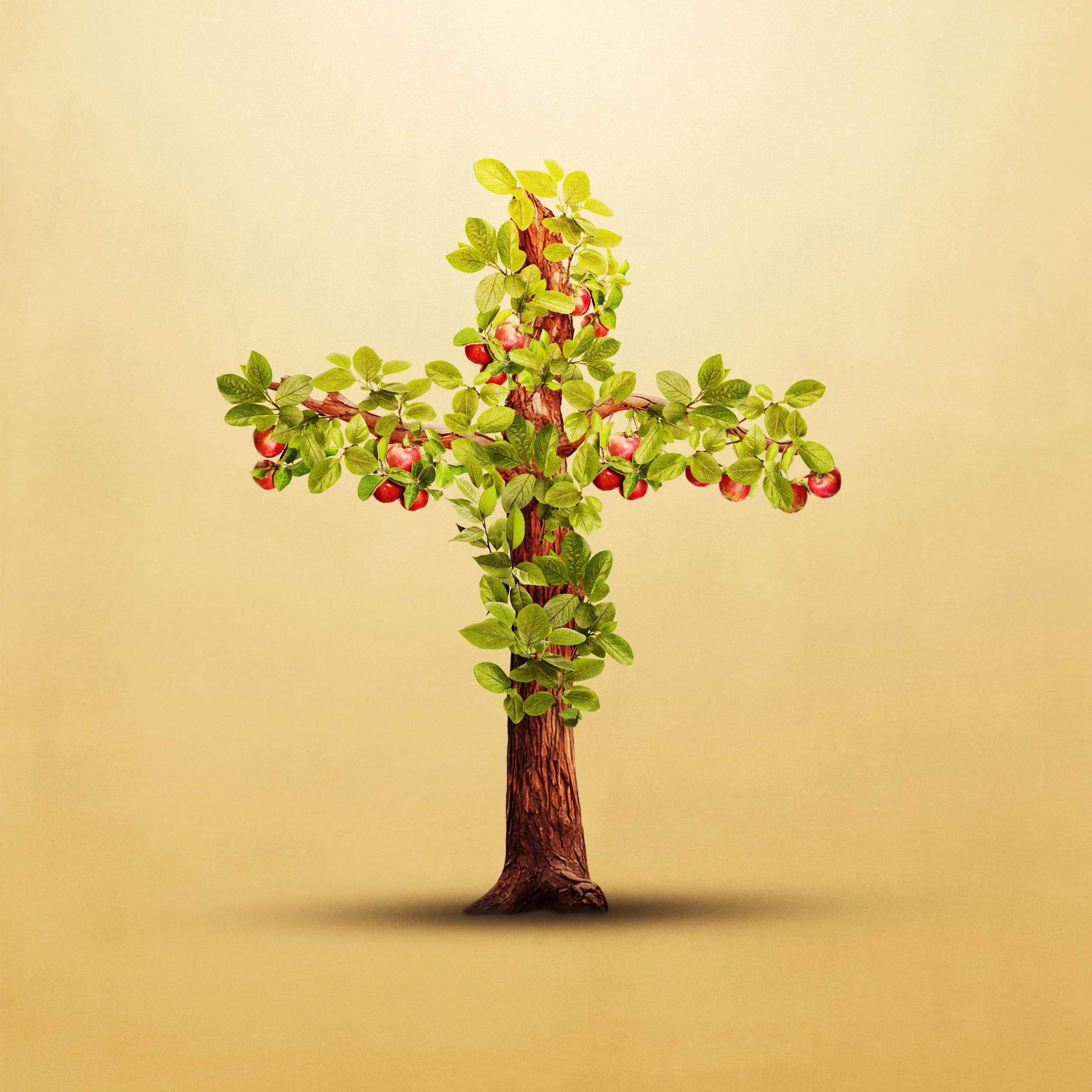 What is Christian Maturity?