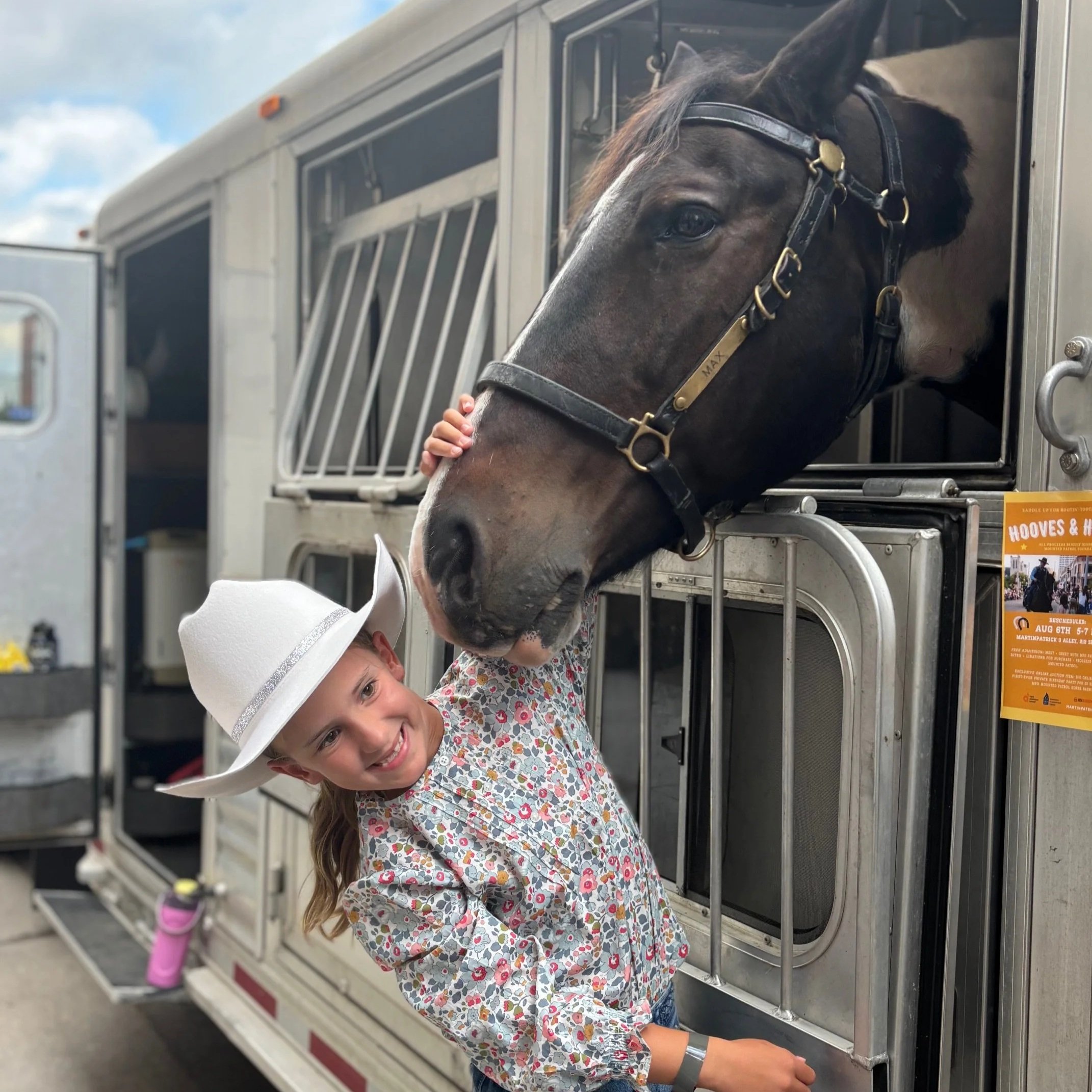 Saddles &amp; Support