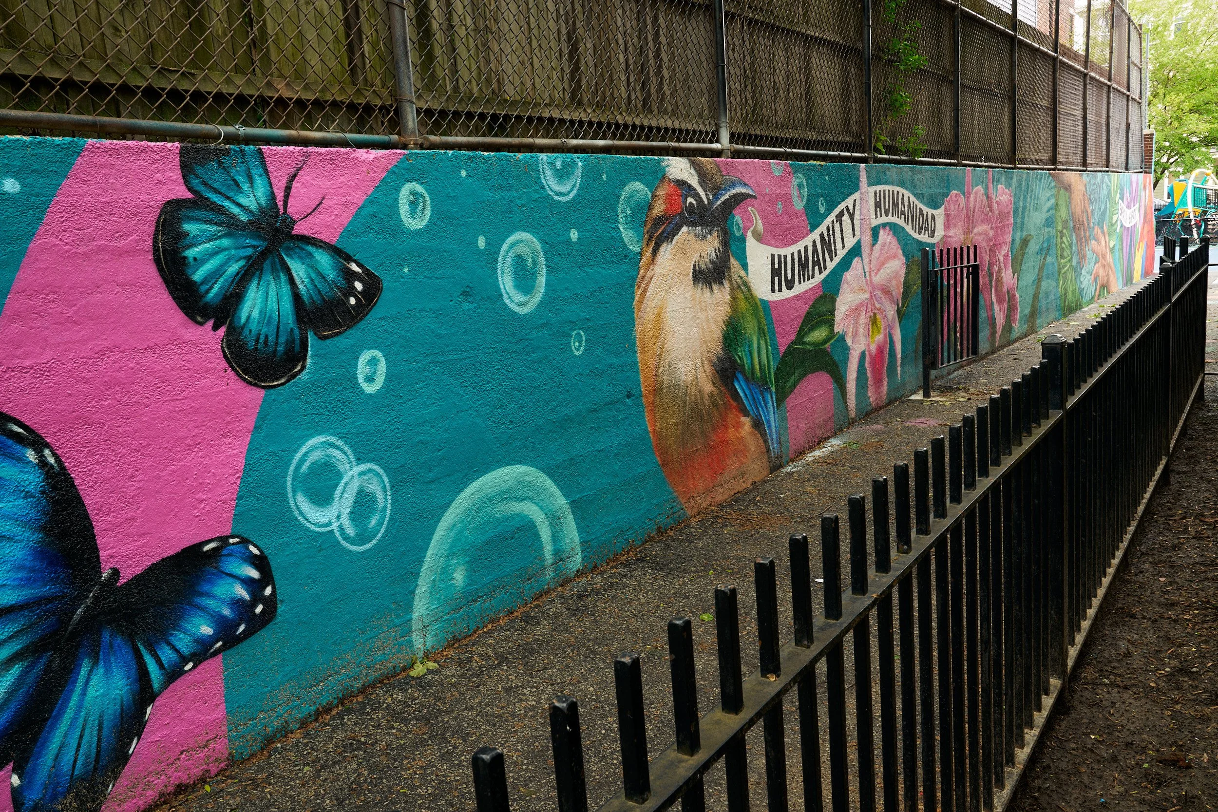 MOAC Sophy Tuttle ODonnell Elementary DSC08290 LowRes.jpg