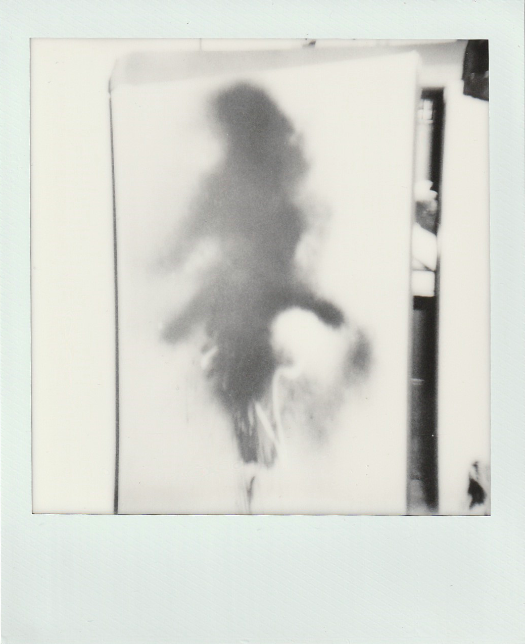 ballerina (polaroid of a spray paint figure on plastic door]