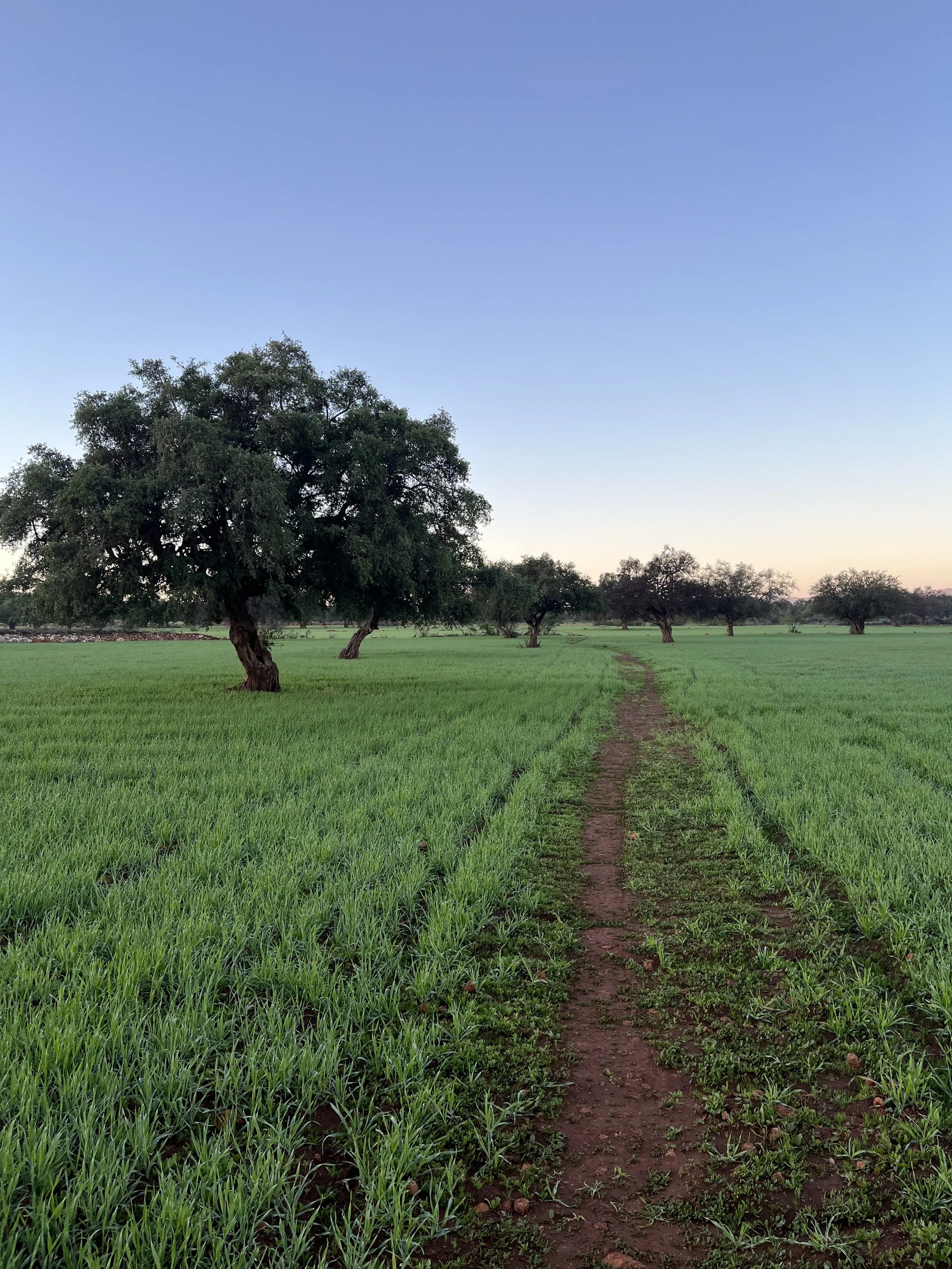 Trust: Listening to the Body and Following the Call