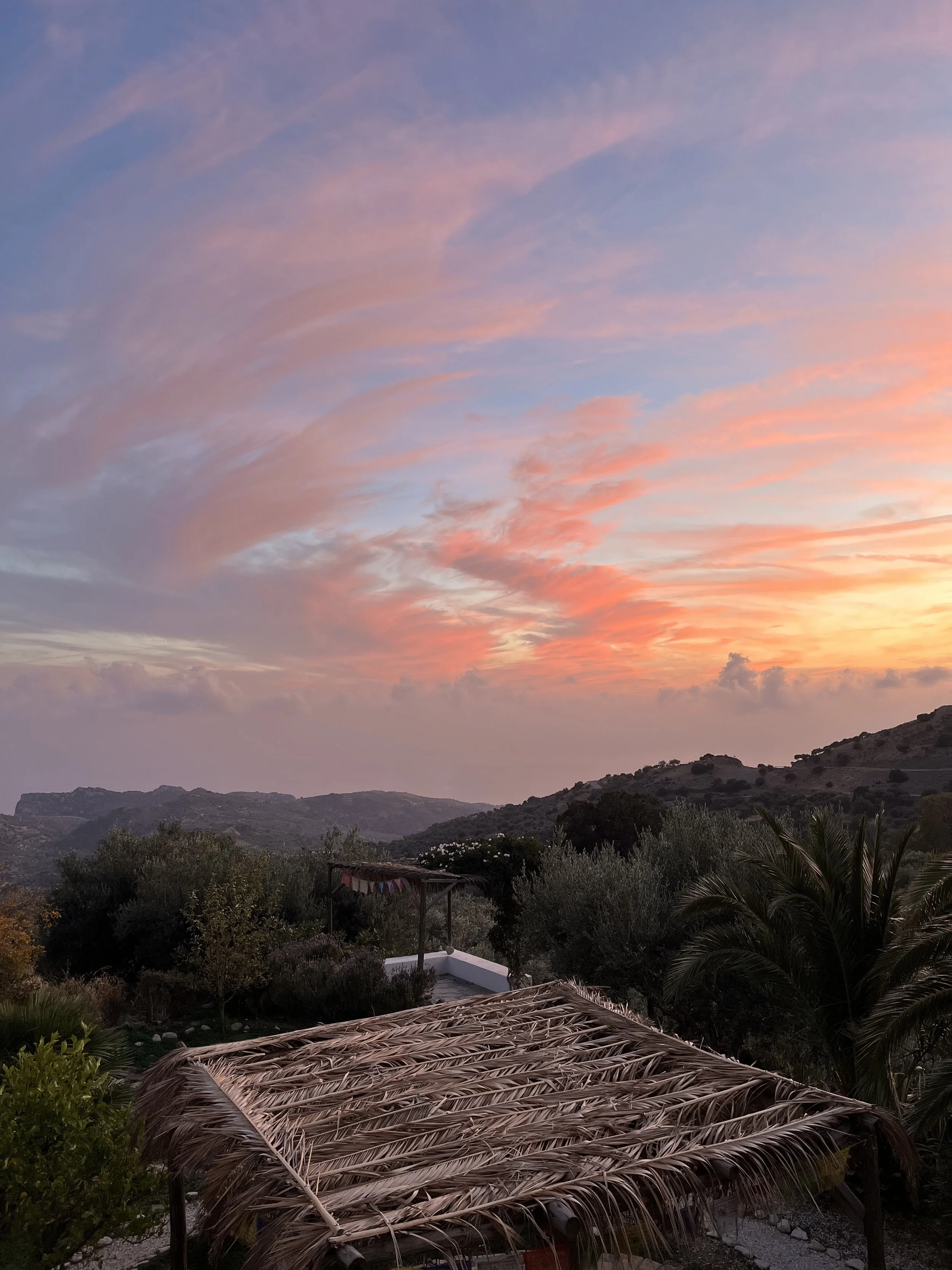 The Art of Release — A Birthday Reflection on Non-Attachment