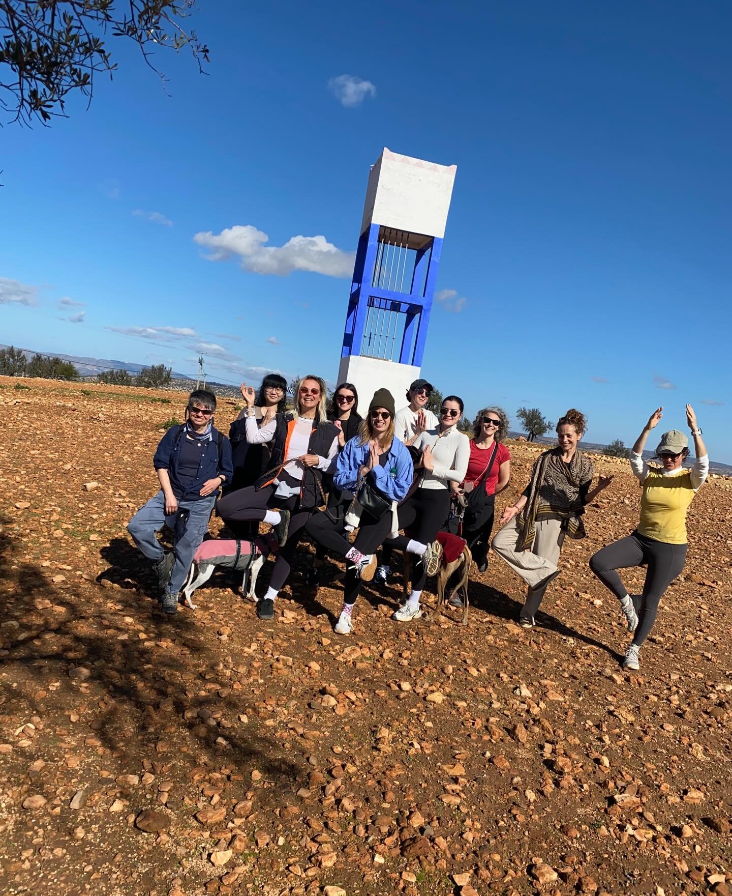 As this numerological year comes to a close, I&rsquo;m reflecting on how deeply TRUST has shaped it.

Not even for a moment did I imagine I&rsquo;d be ending the year in Morocco, holding yoga retreats @lavidasurfretreats and sharing space with such p