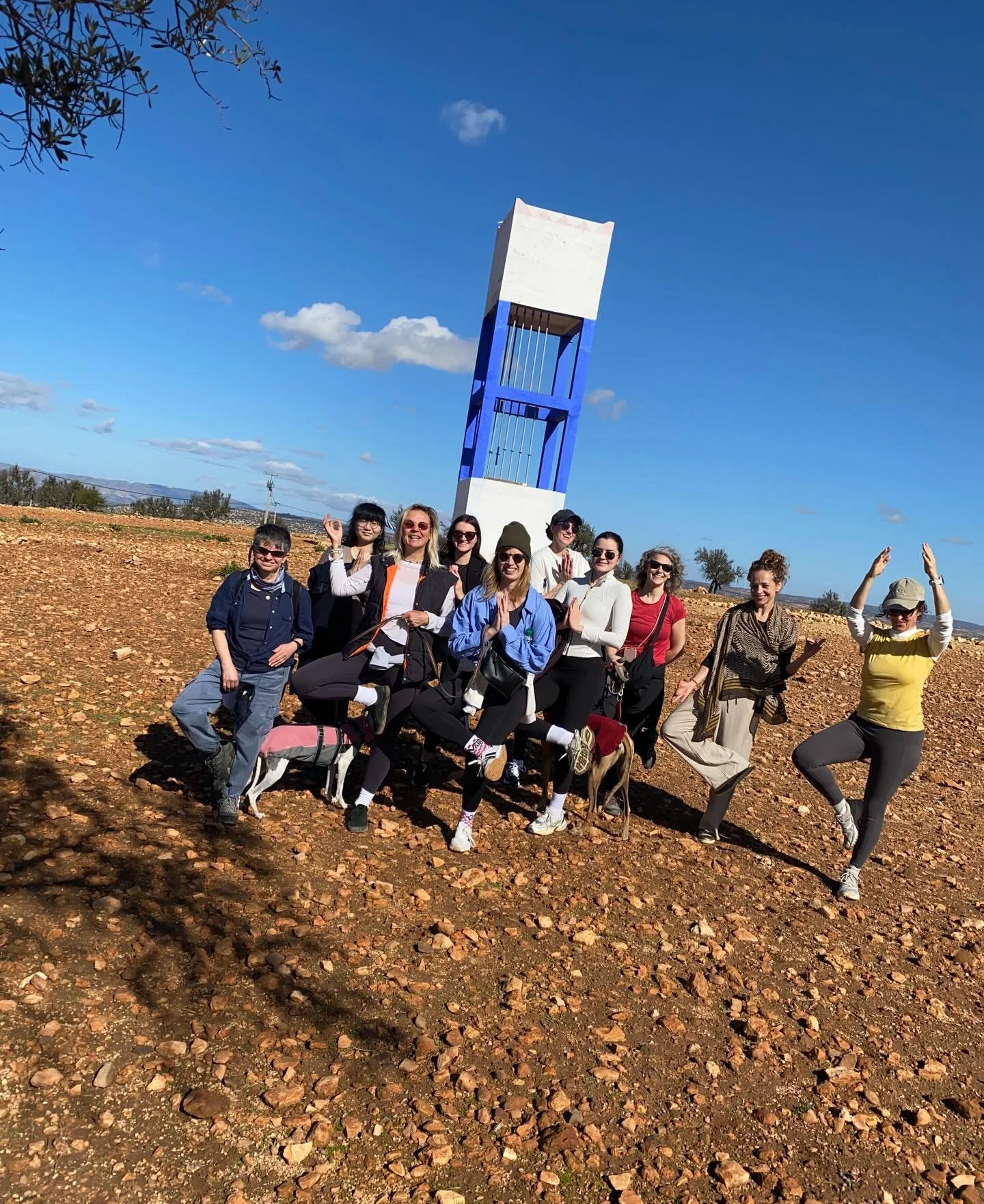 As this numerological year comes to a close, I&rsquo;m reflecting on how deeply TRUST has shaped it.

Not even for a moment did I imagine I&rsquo;d be ending the year in Morocco, holding yoga retreats @lavidasurfretreats and sharing space with such p