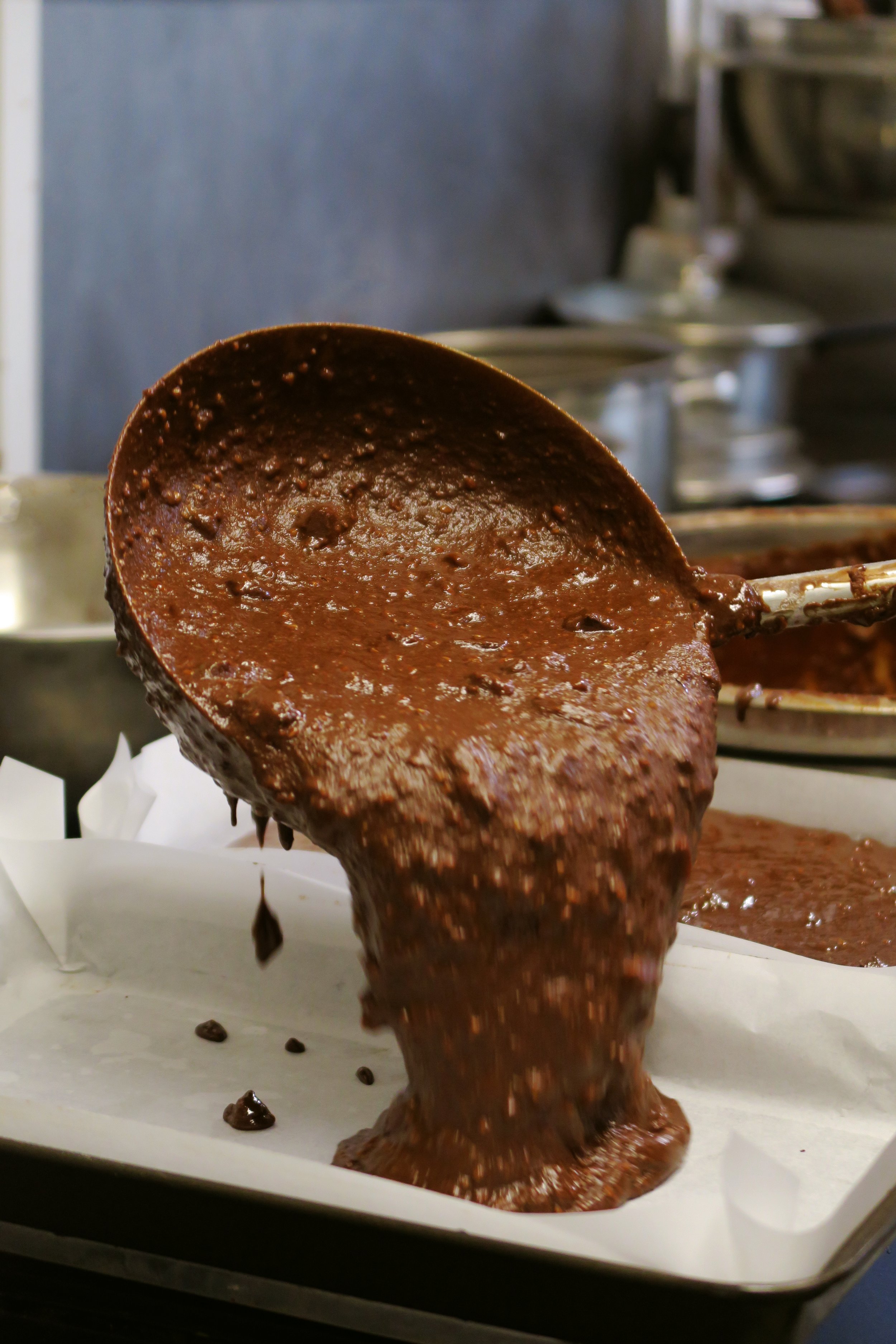 brownie dollo[.jpg