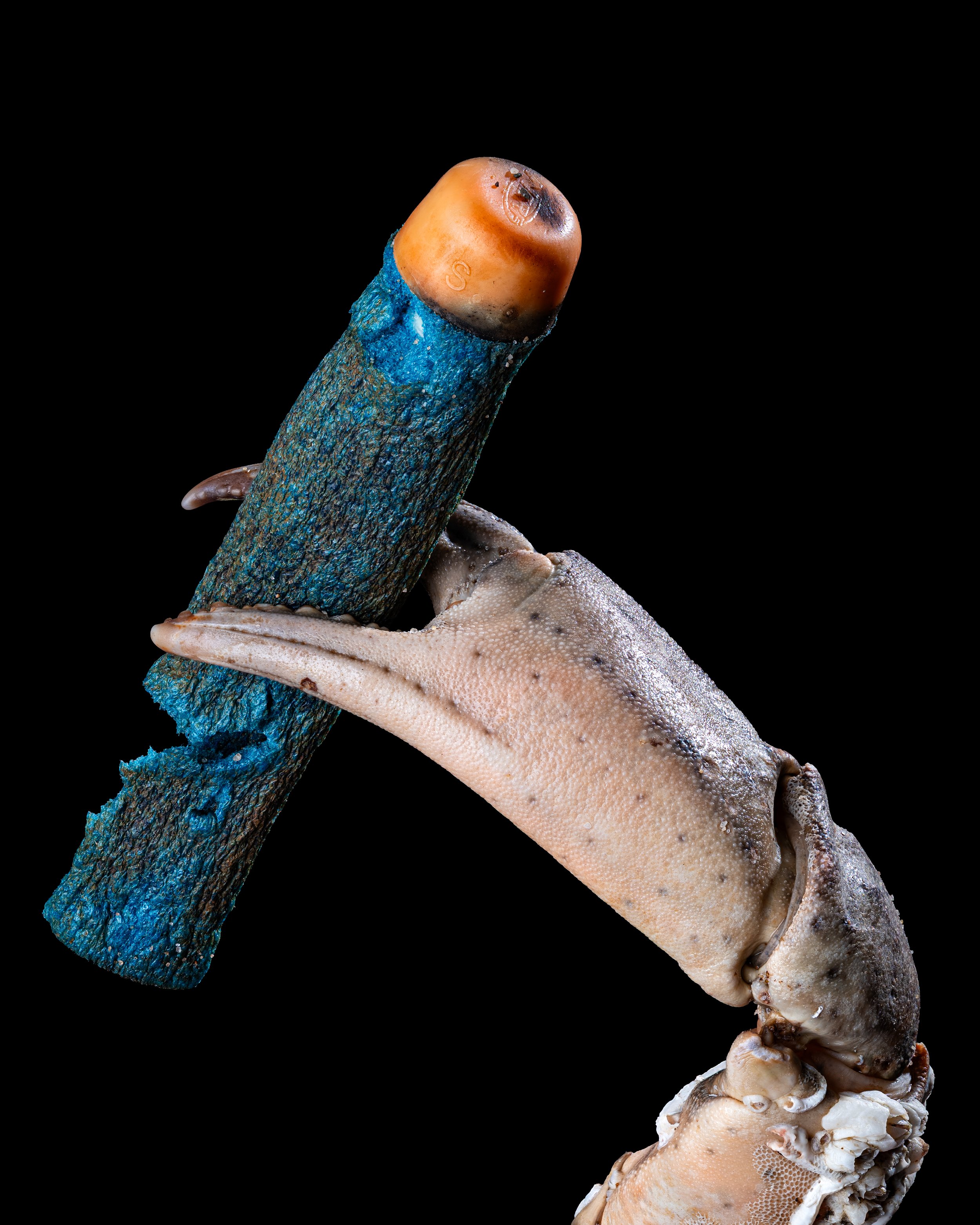 Plastic Pollution by Lewis Baillie.jpg