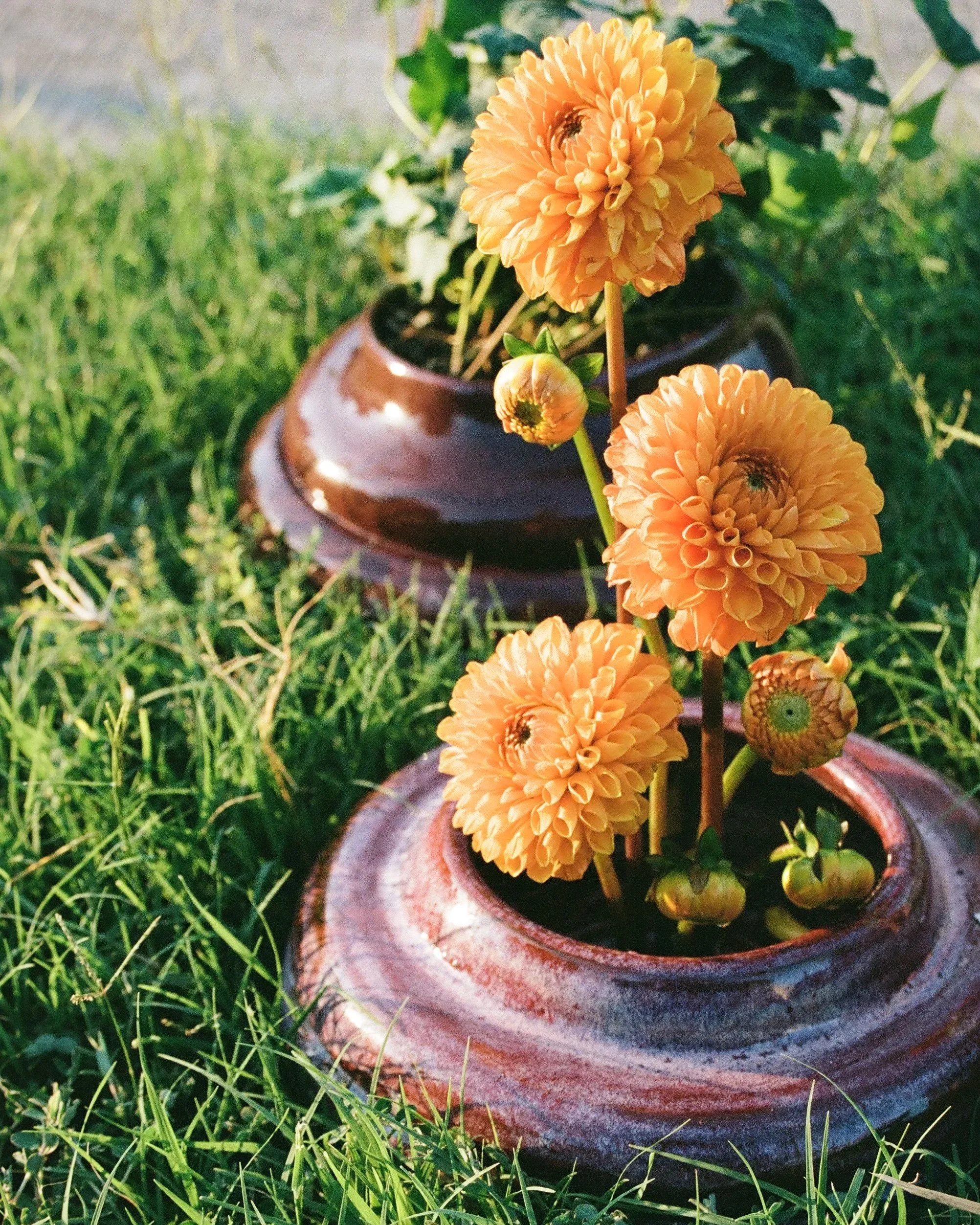 0F9A5DD0-56F4-4FAD-BDE8-9E91BB6C2A8A.jpg