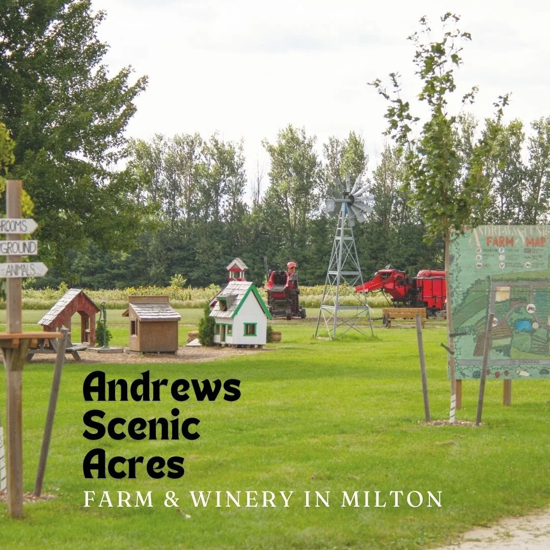 Andrews Scenic Acres Farm Market in Milton — Silver Birch Real Estate ...