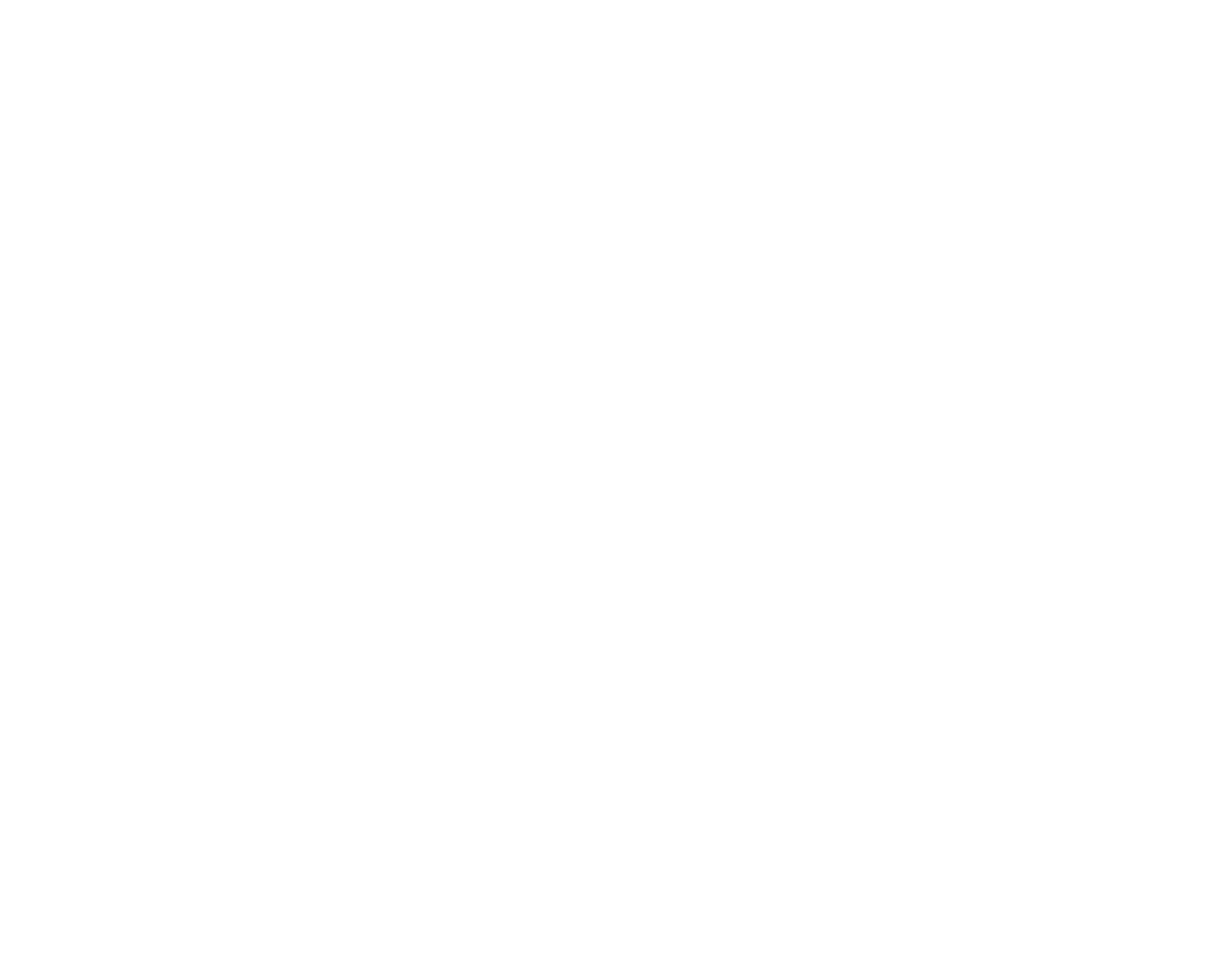 HOLOHOLO DETAILERS