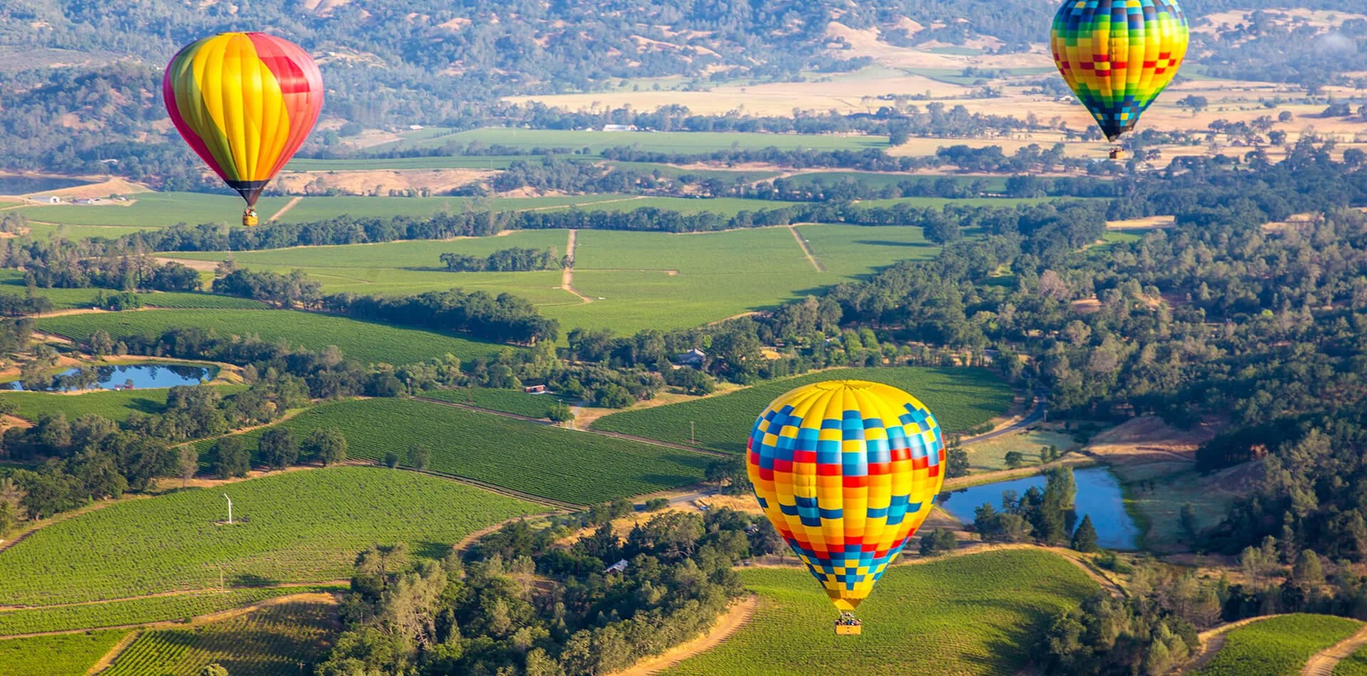 shutterstock_656309851-hot-air-balloons-over-vineyards-1920width-header-image-1.jpg