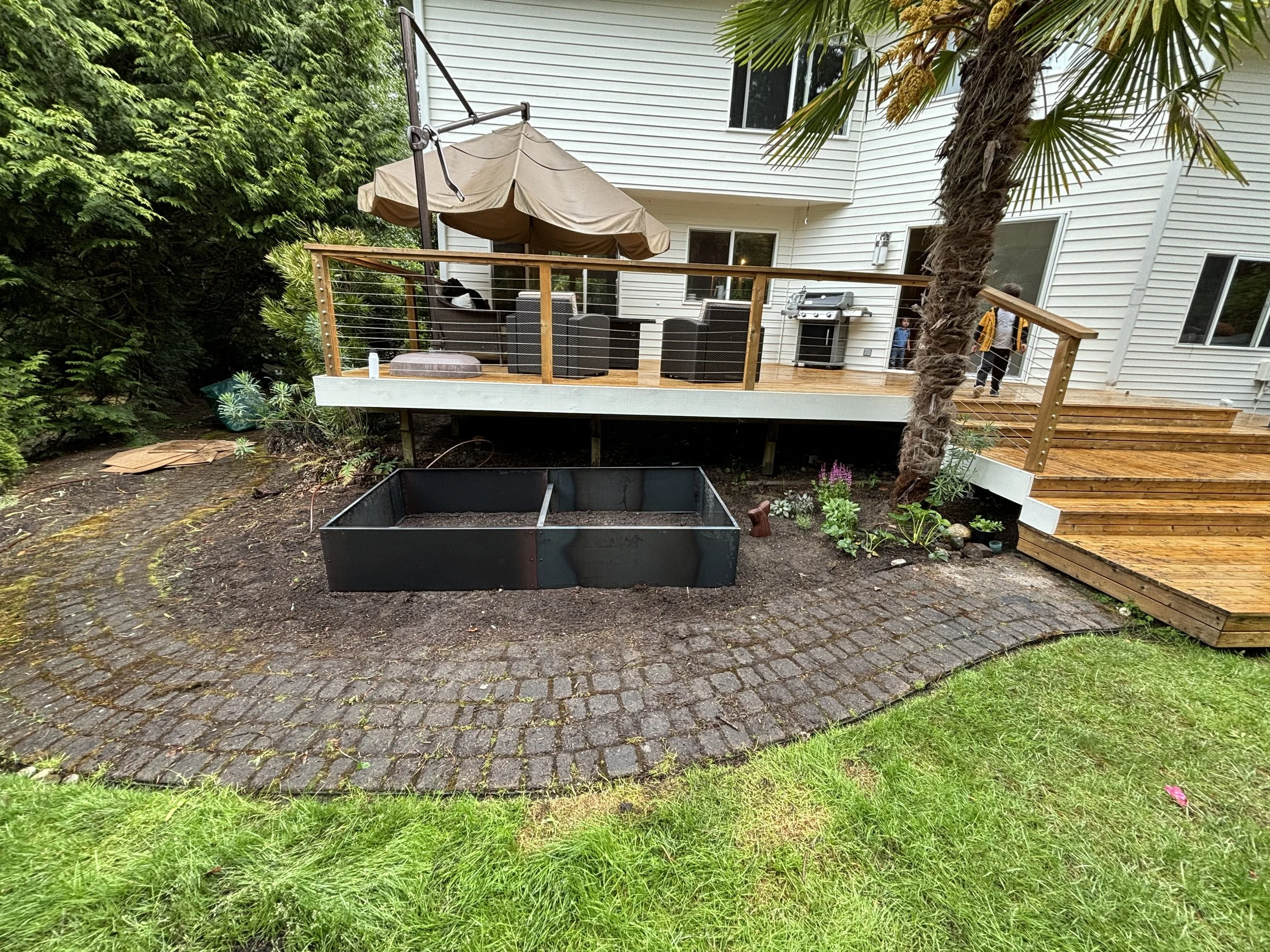 Added drought-tolerant plants beneath established palm, consolidated wandering strawberry plants