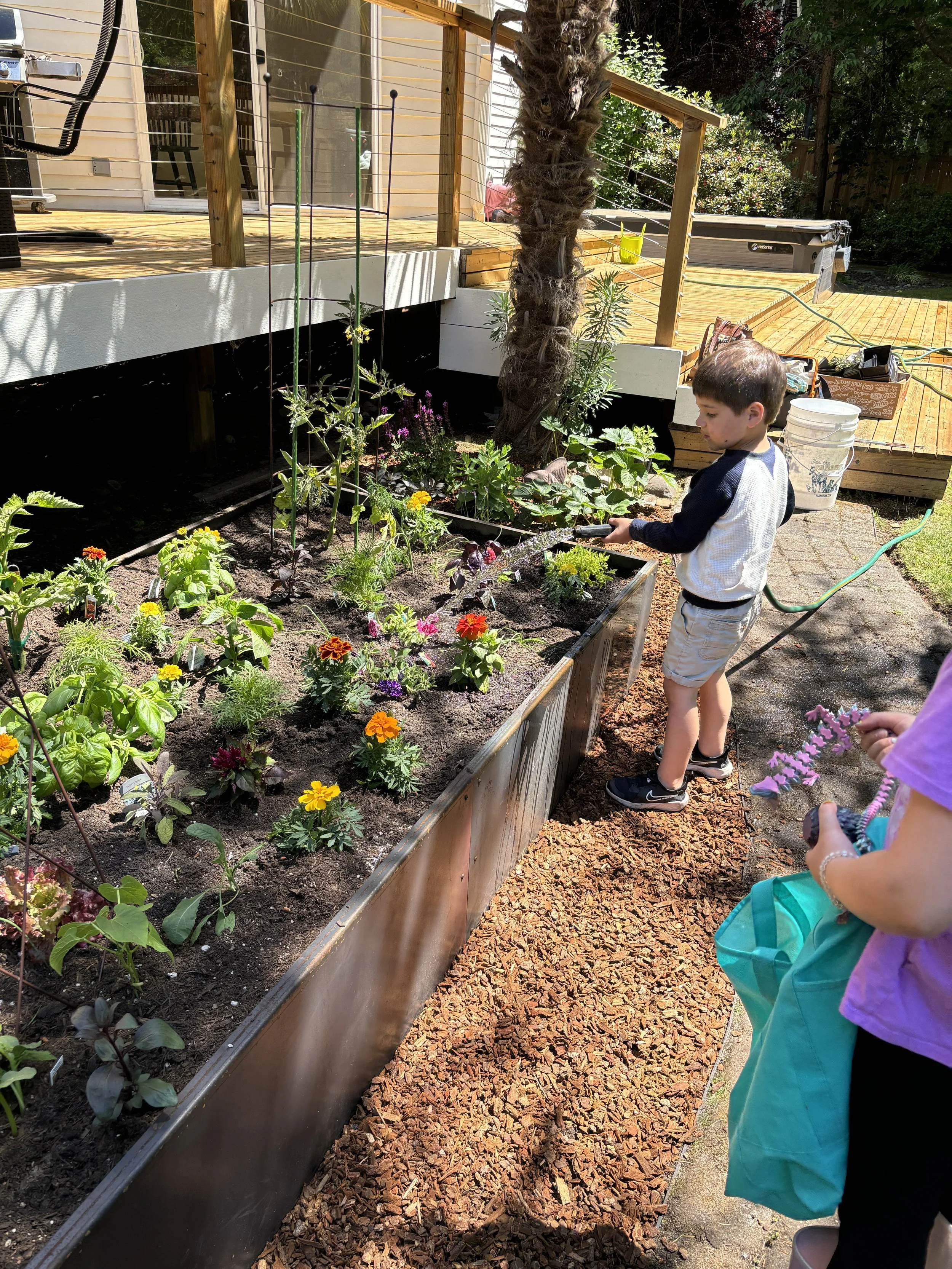 Watering his new garden!