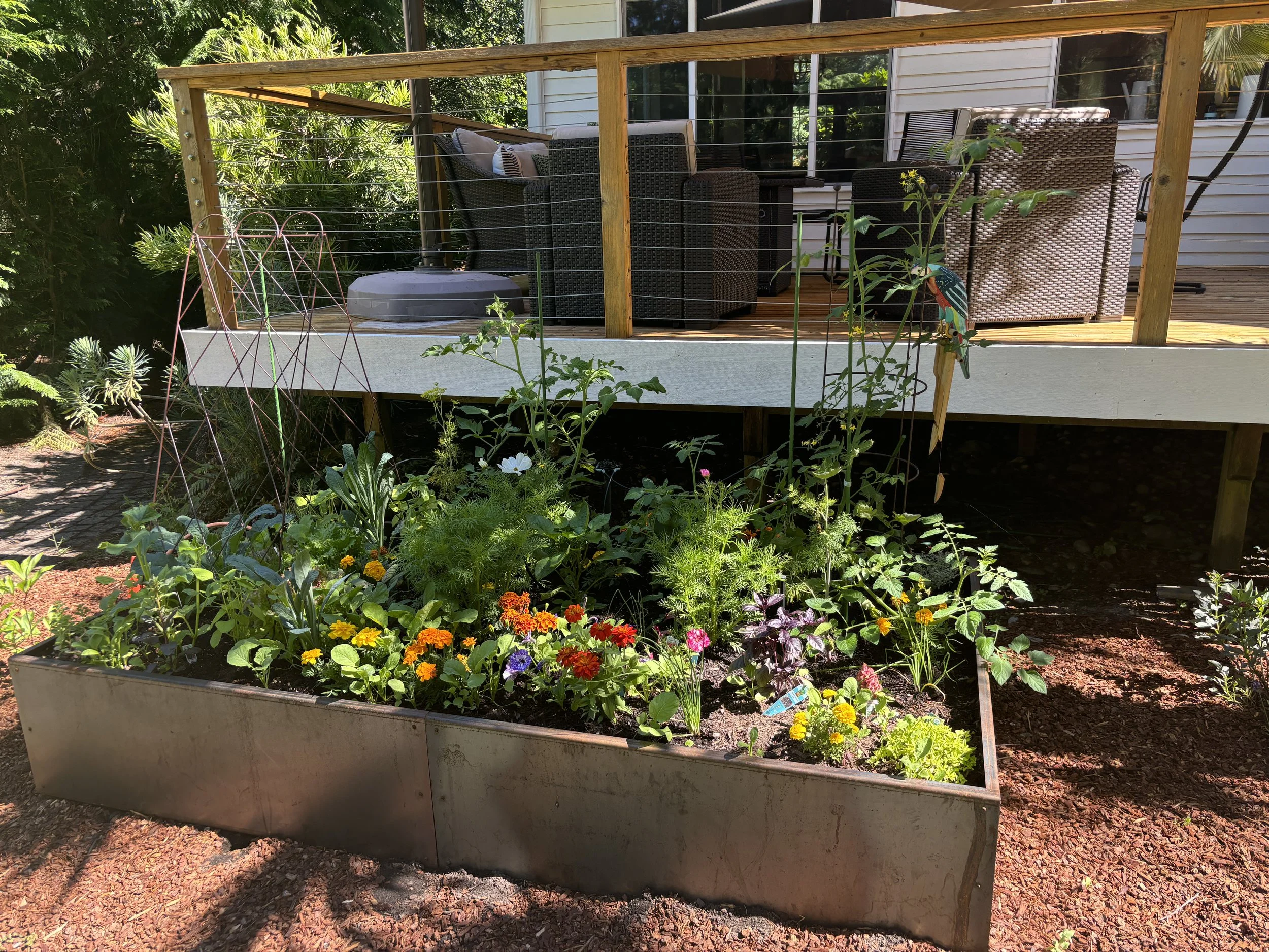 Filling out beautifully