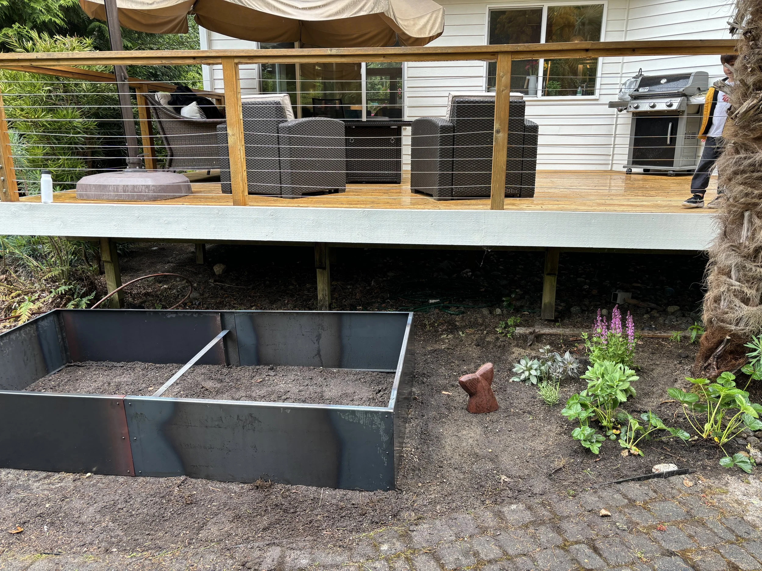 After leveling and installing corton steel boxes. We found a fish tail statue hiding in the overgrown brush!