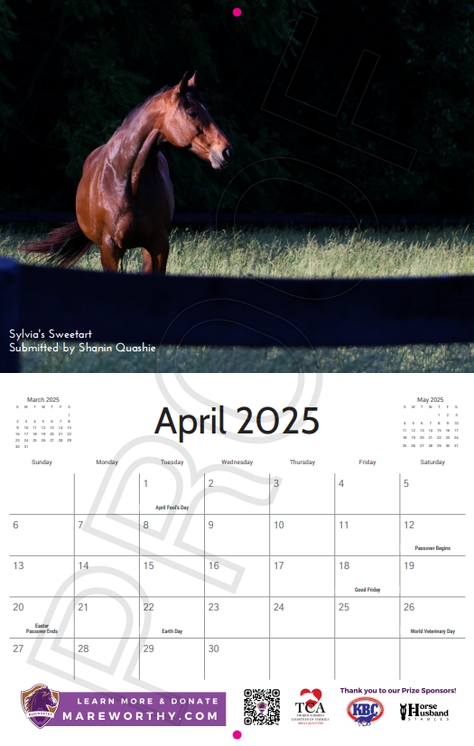 Screenshot 2024-10-05 113208.png
