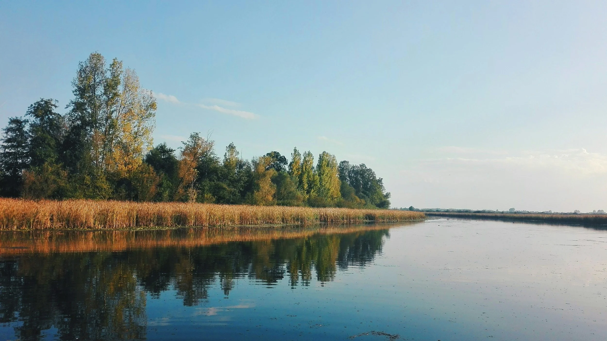 The Pool Of Reflection: Releasing The Ego’s Spell