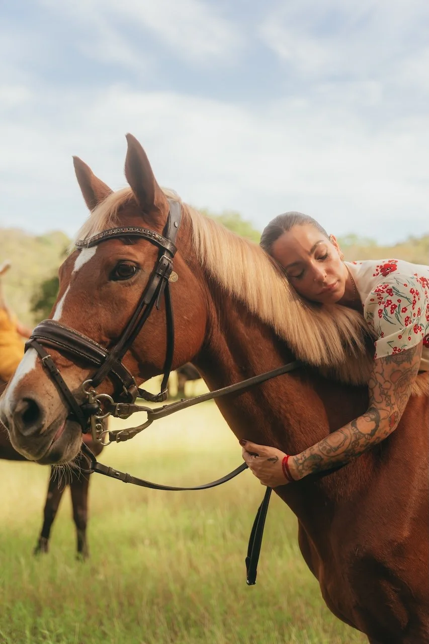 Discover the Transformative Power of Equine Therapy