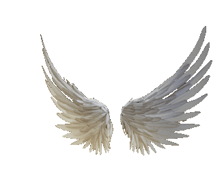 A pair of white angel wings against a plain background.