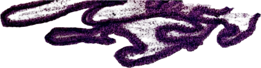 Close-up of a purple and white cloth or fabric with a textured, looped design.