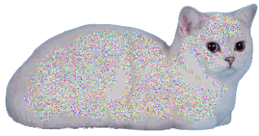 A white cat with blue eyes lying down on a white background.