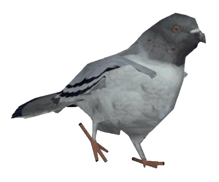 Photograph of a pigeon with realistic features.