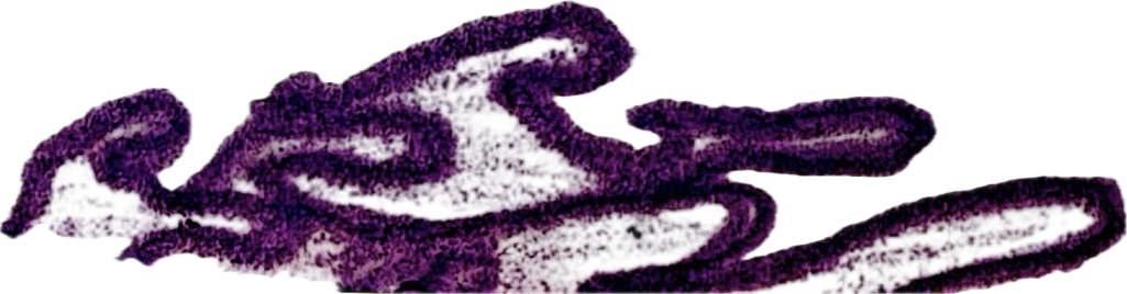 Close-up of a painted or inked illustration of a hand with purple shading.