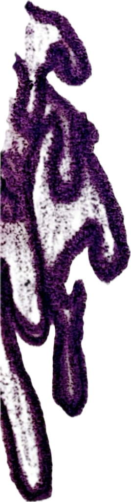 Close-up of a purple embroidered mermaid tail design.