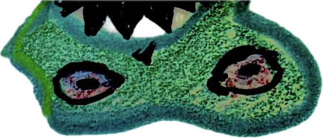 A close-up of a green textured object with black and light pink markings, resembling a stylized or cartoonish depiction of an animal or creature's face.