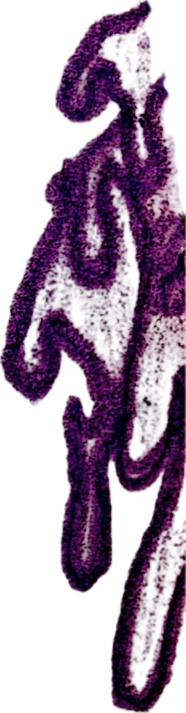 Close-up of purple textured writing or drawing on a white surface.