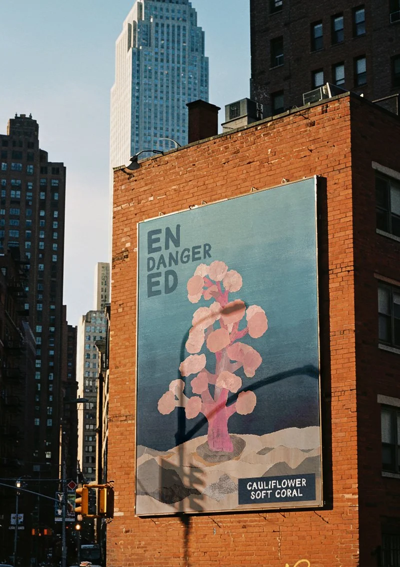 cauliflower design billboard.jpg