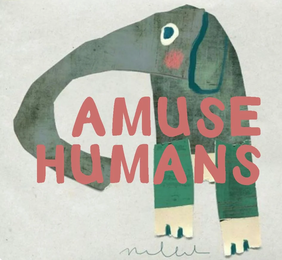 Elephants are not human amusement