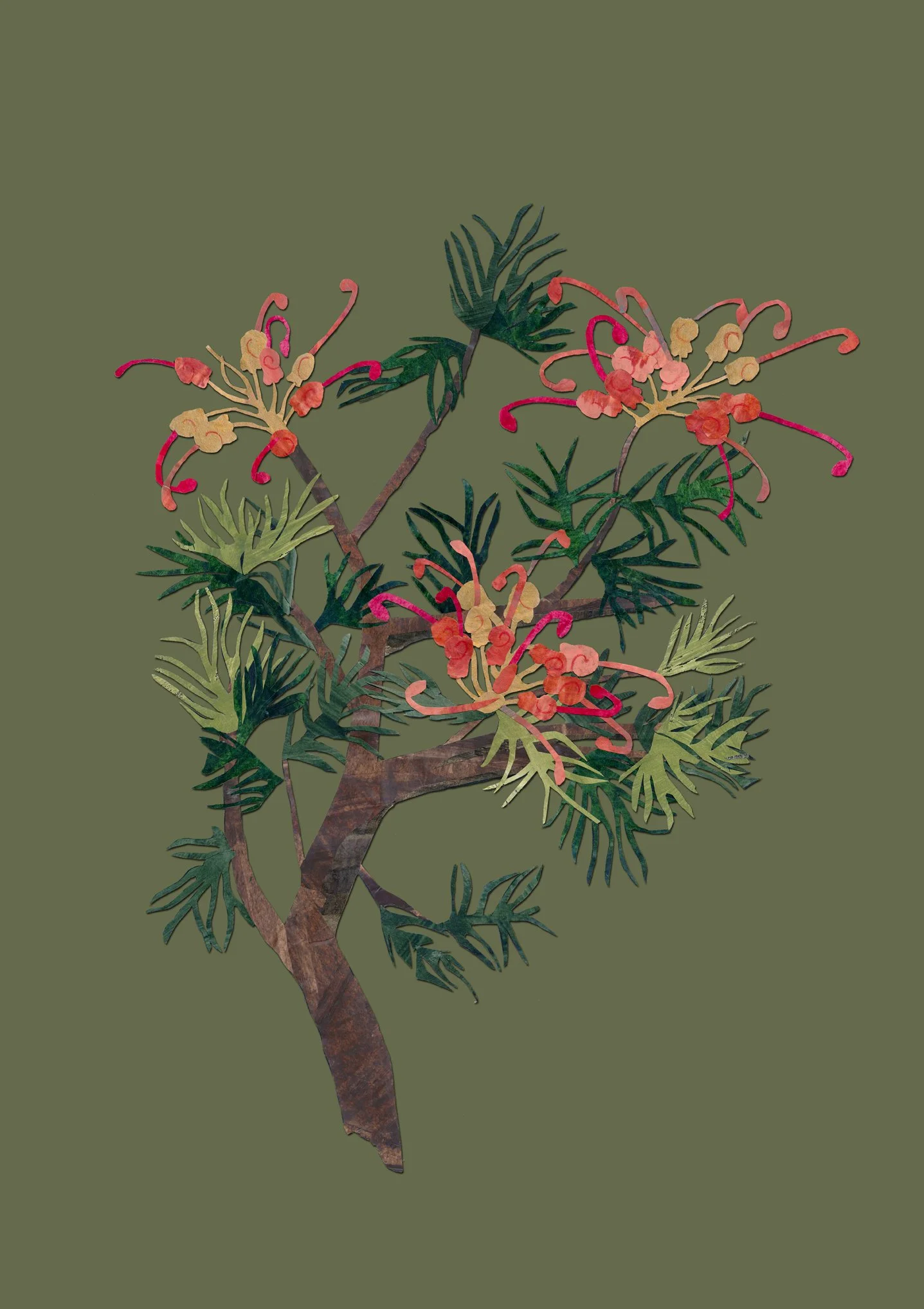 grevilla batrachioides_crop.jpg