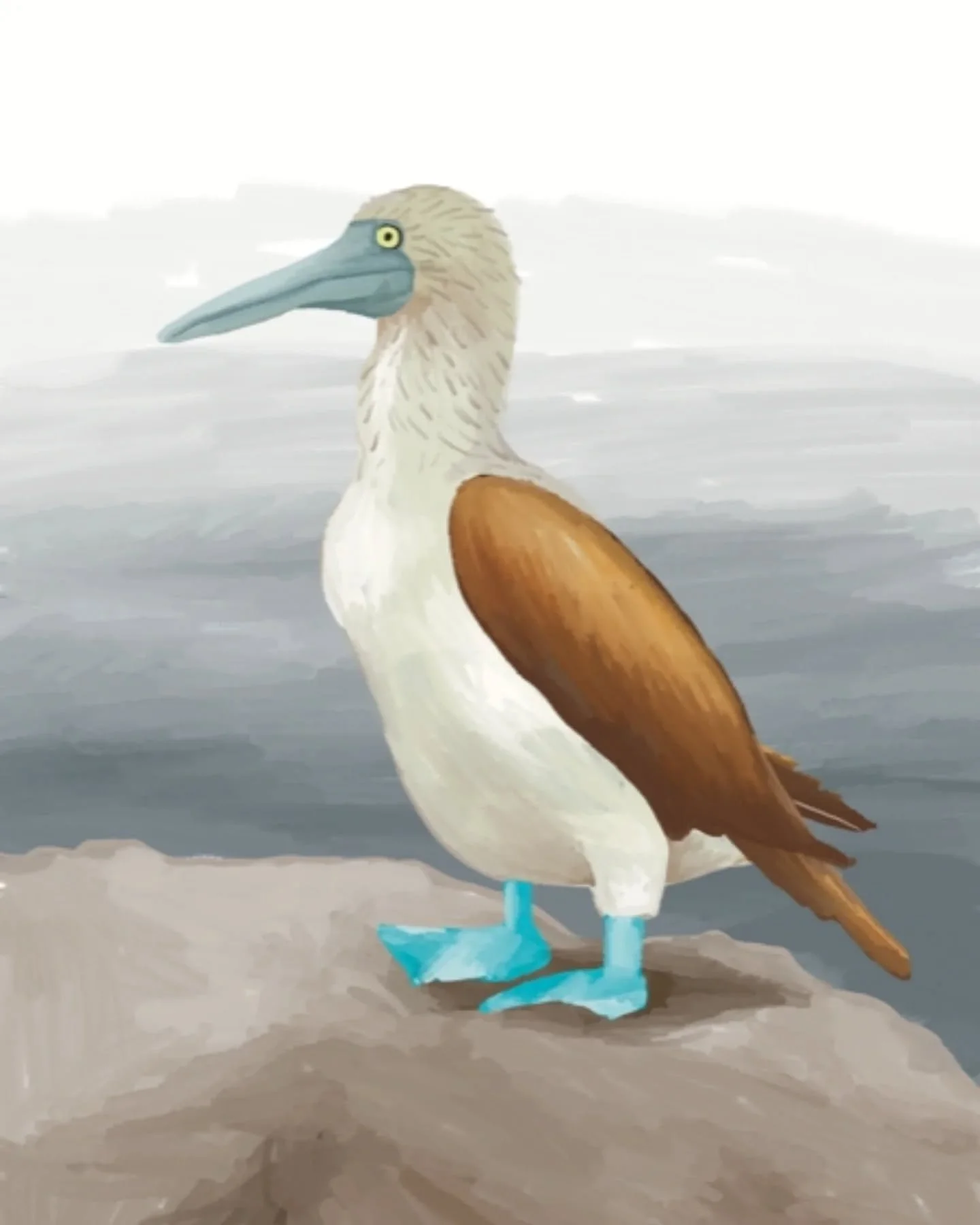 This adorable dude with flippers is a blue-footed booby. I can happily share that they are not endangered. 
They are, however, the best bird to google! Off you to, you know you want to.
π΅
Drawn by Brenner Lowe
#bluefootedboobies