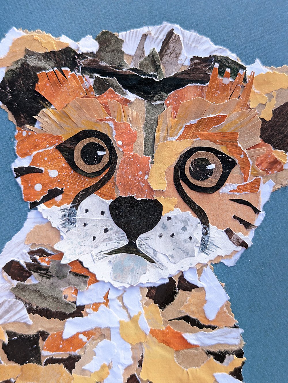 cheetah by Brenner Lowe 1.jpg