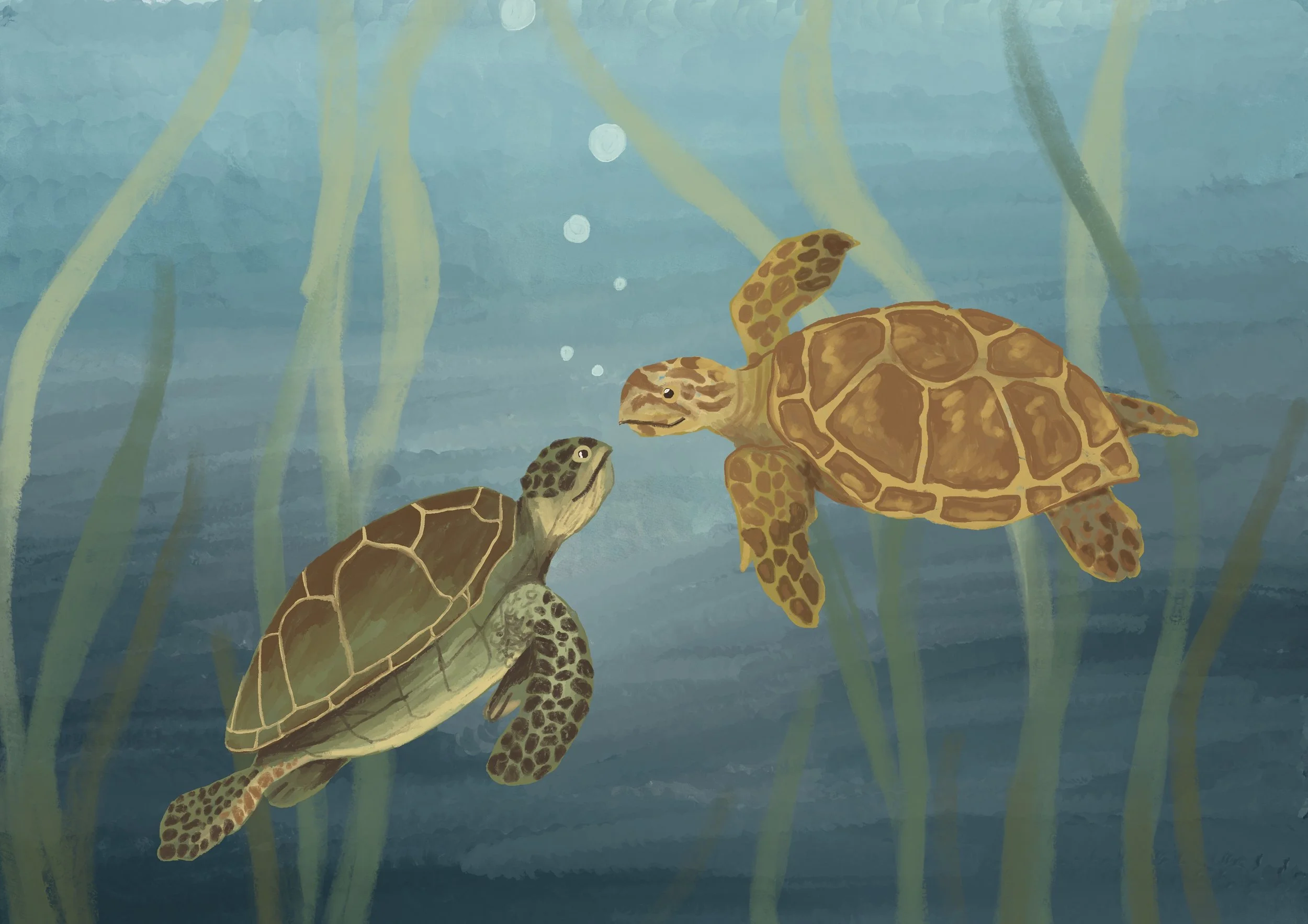 illustration of turtles