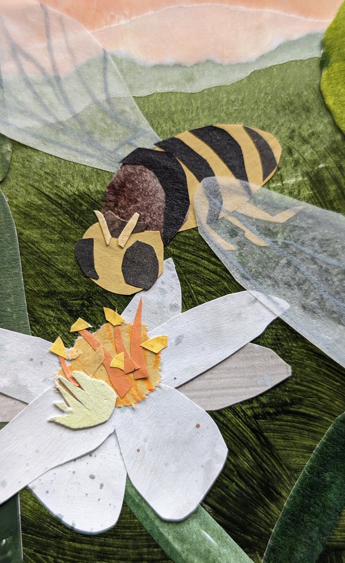 bee and flower collage
