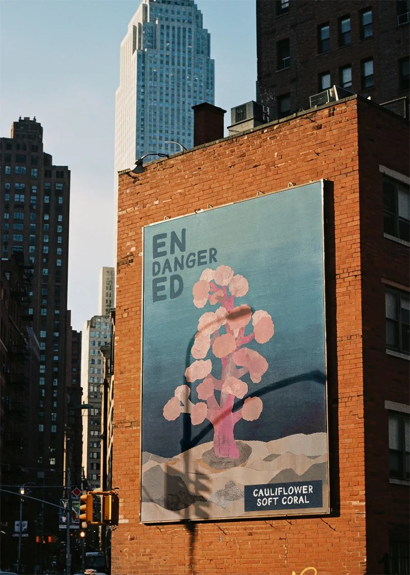 cauliflower design billboard.jpg