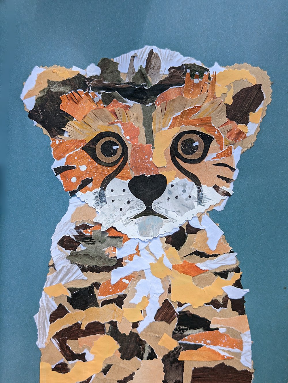 cheetah by Brenner Lowe 2.jpg