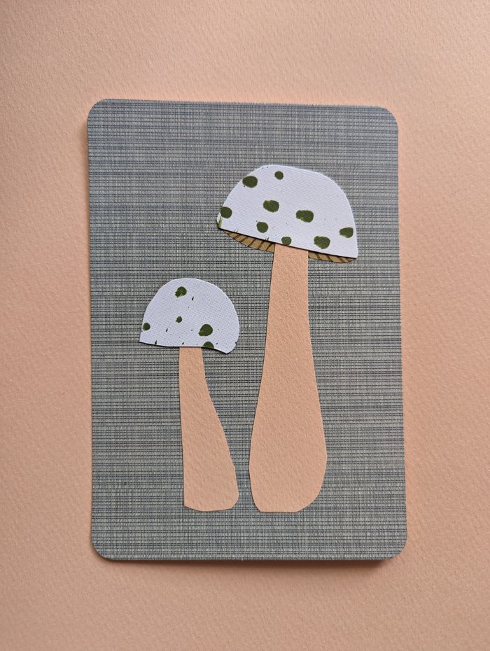 mushroom collage