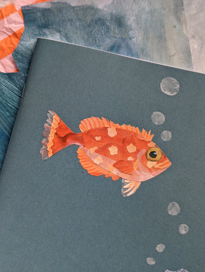 06 fish notebook.jpg