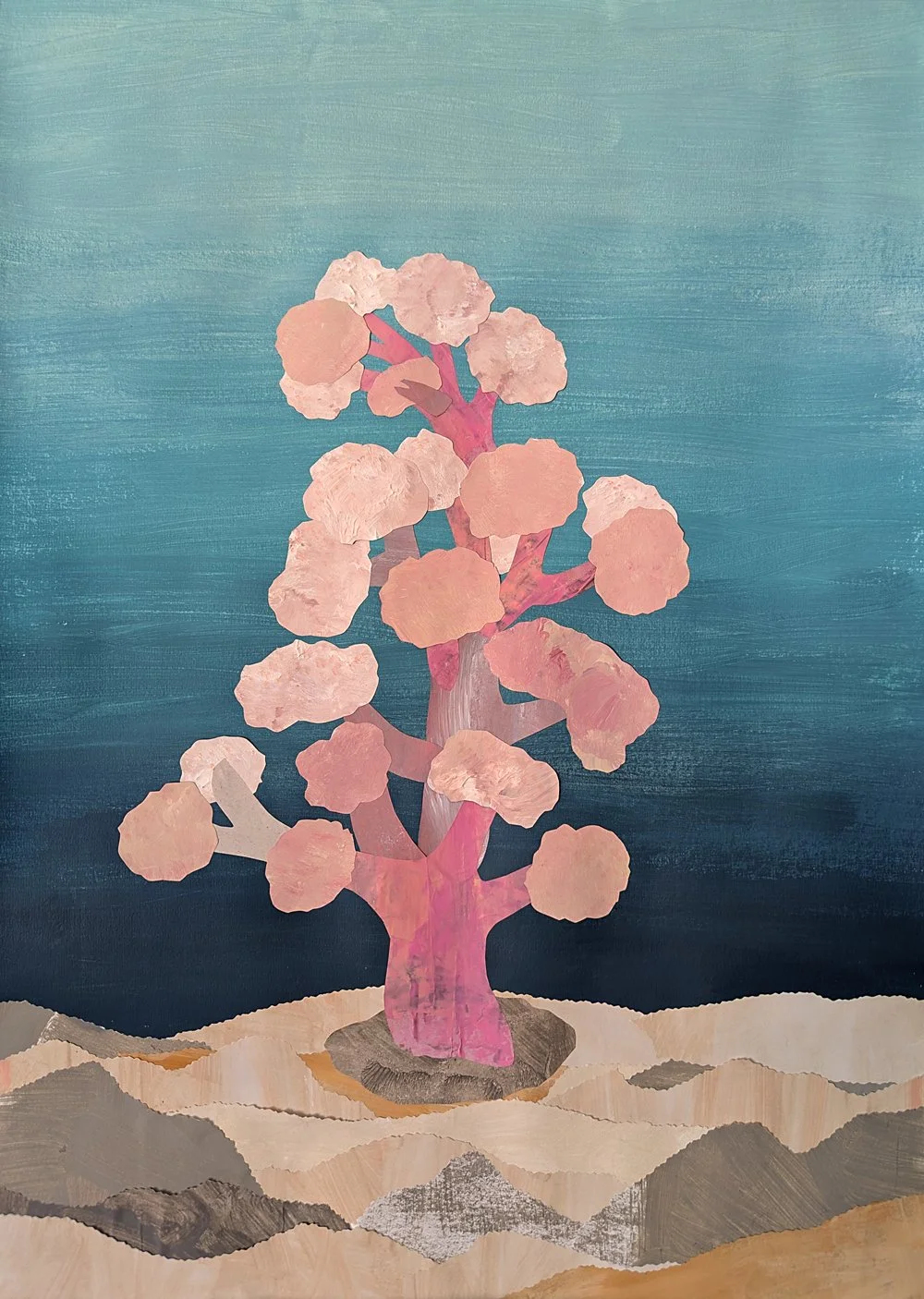 Cauliflower Soft Coral.jpg