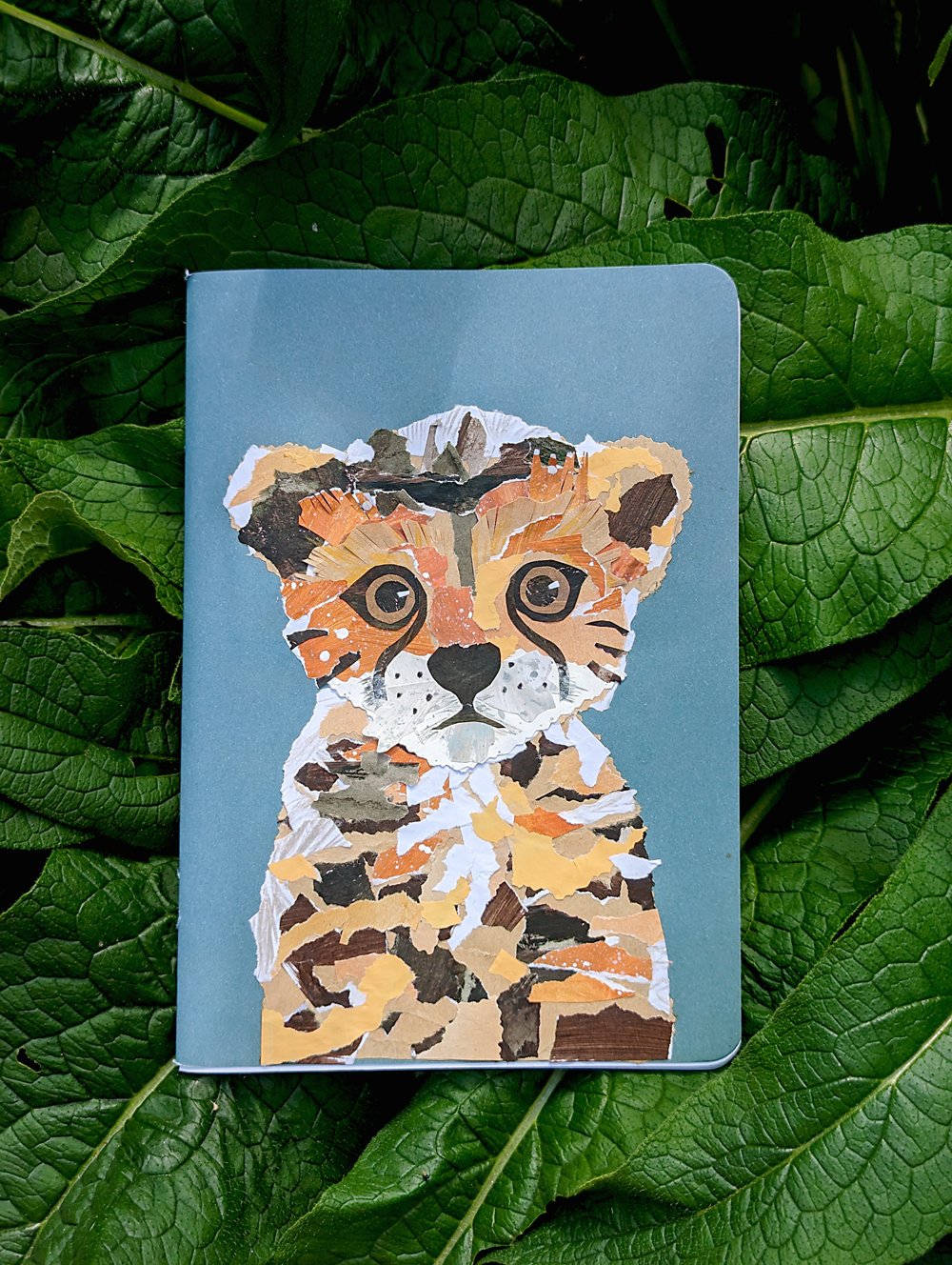 cheetah by Brenner Lowe 3.jpg