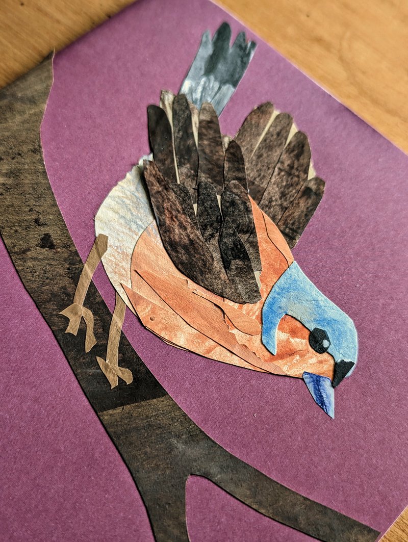 bird collage 03.jpg