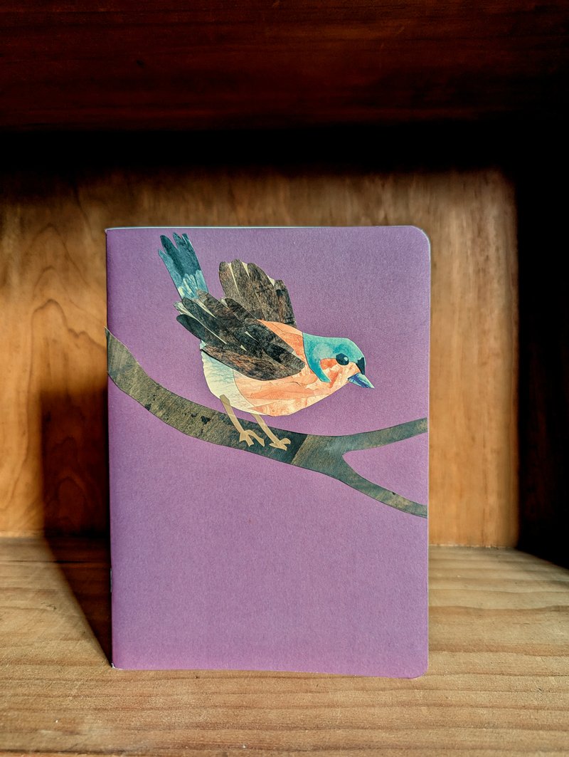 bird collage 04.jpg