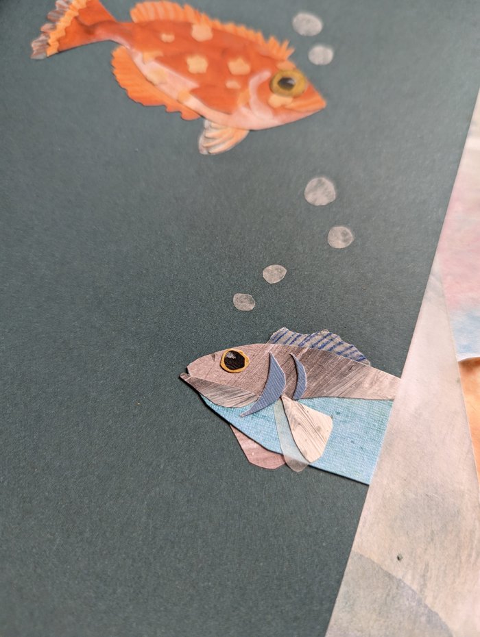 07 fish notebook.jpg