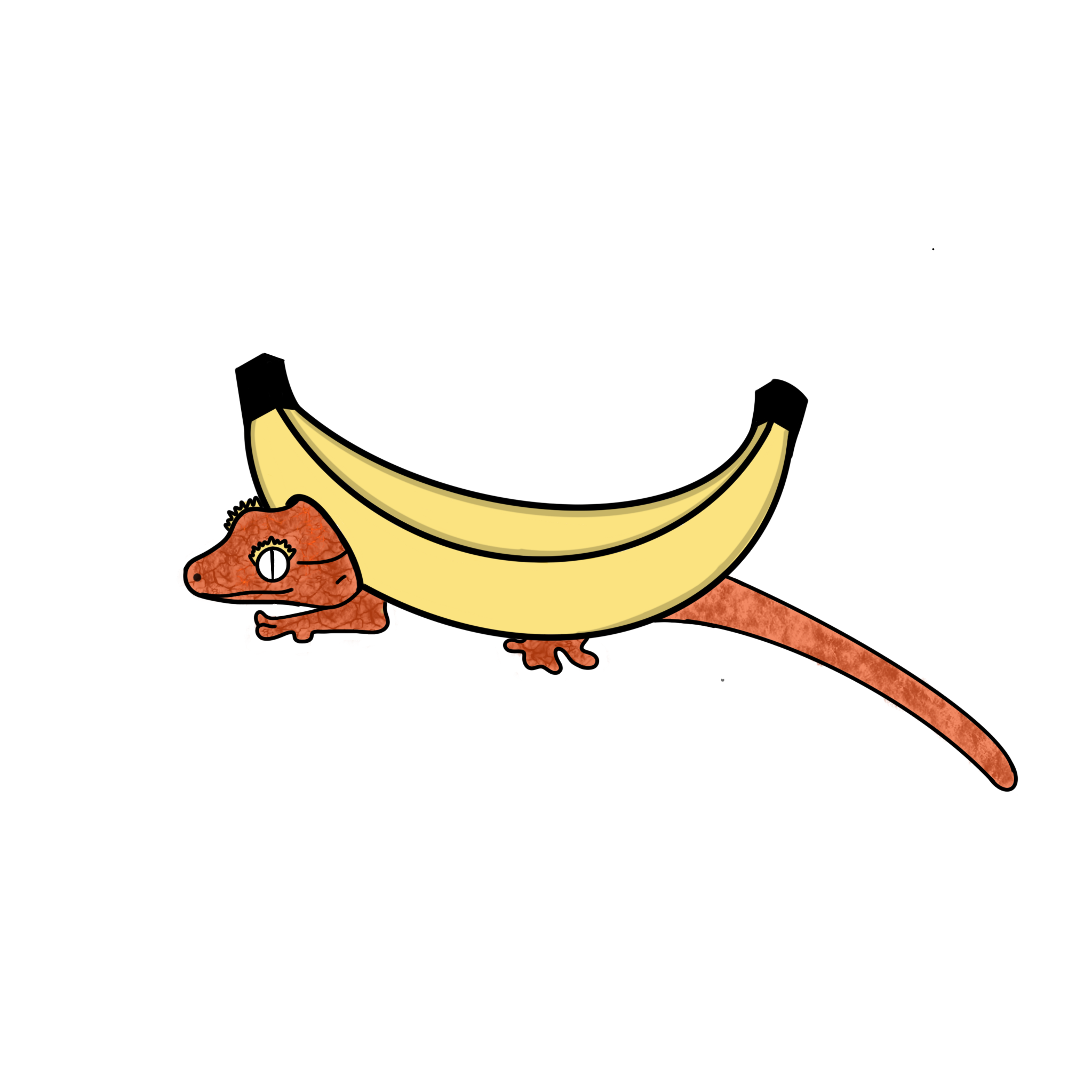 Gecko%2BBanana%2B%25281%2529.png