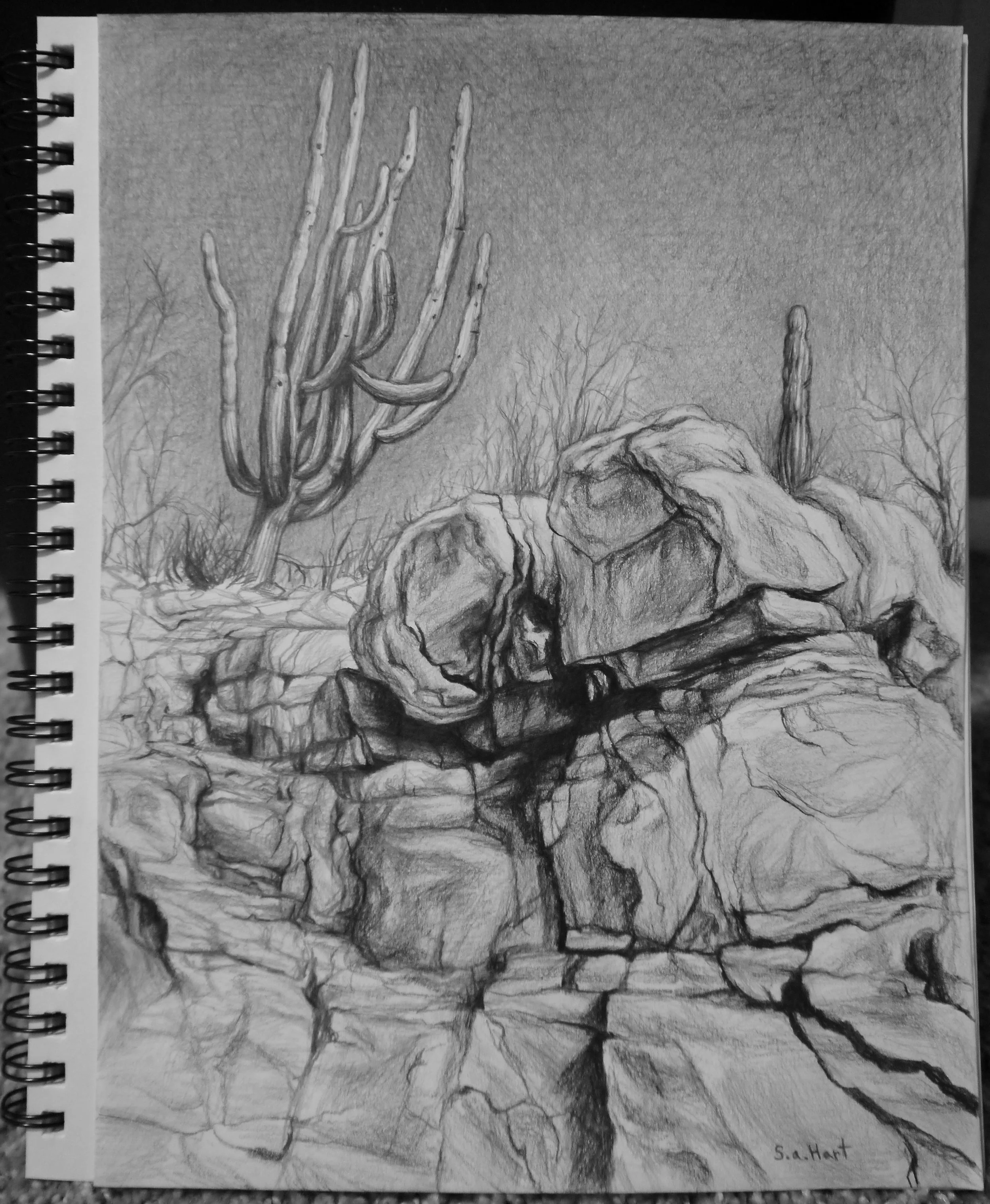 Delicate Desert Drawings edited - 1 of 23.jpeg