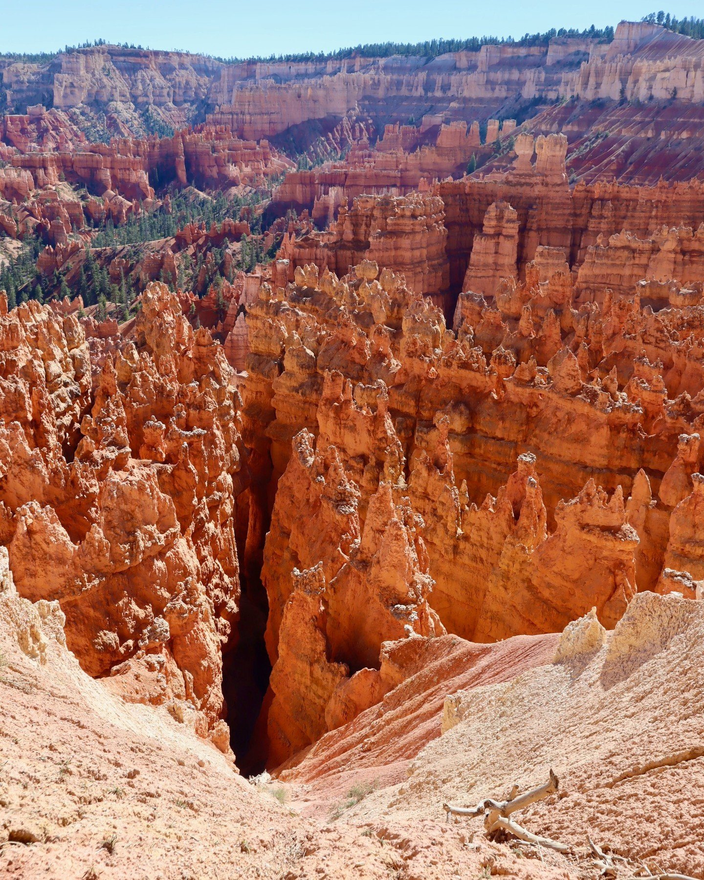 Wow, hiking around Bryce Canyon was the absolute best this week